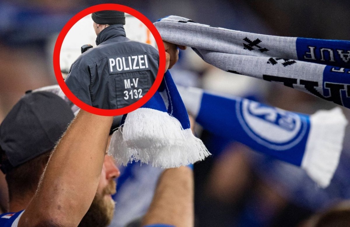 FC Schalke 04 Rostock.jpg