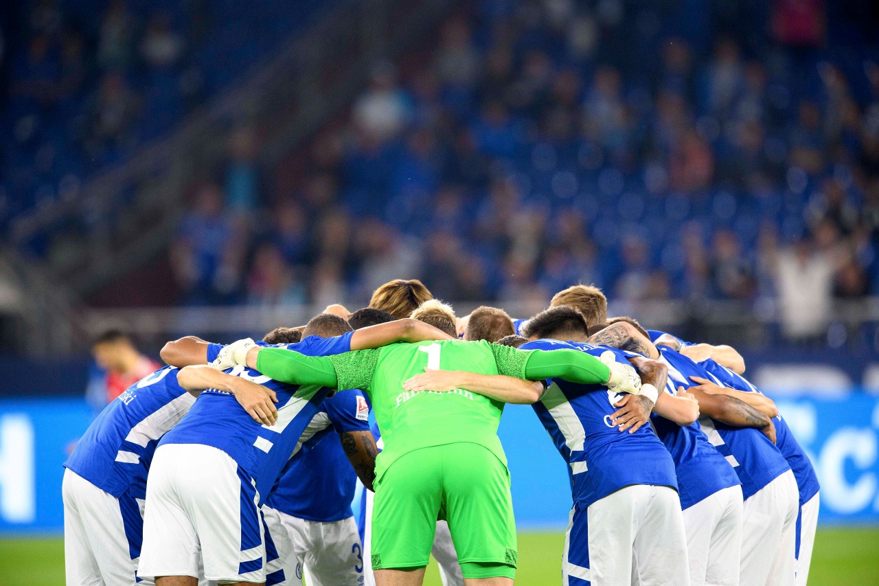 In der 2. Bundesliga empfängt der SC Paderborn den FC Schalke 04.