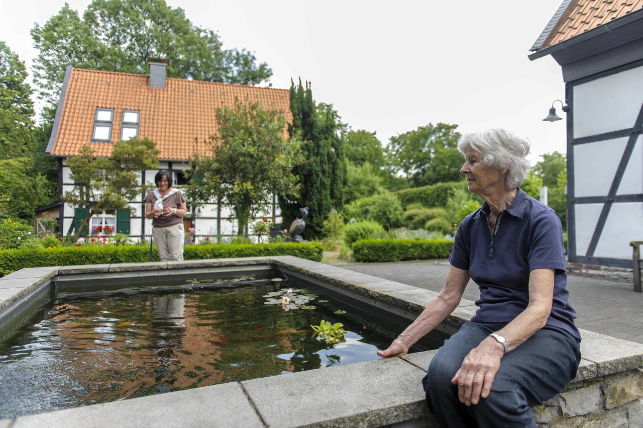 In der Mitte des Schürmannhof-Gartens gibt es einen kleinen Teich. 