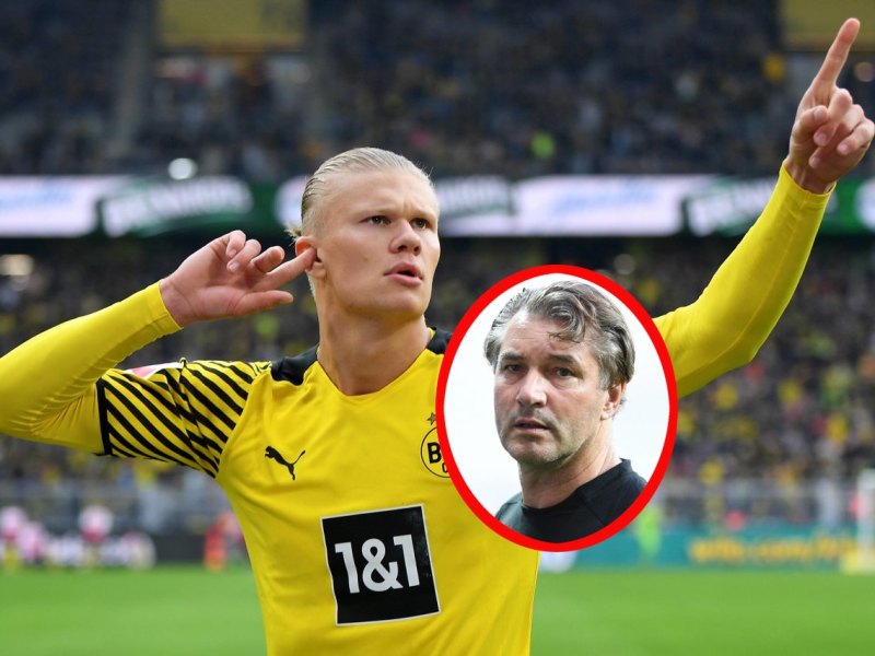 Haaland-Zorc.jpg