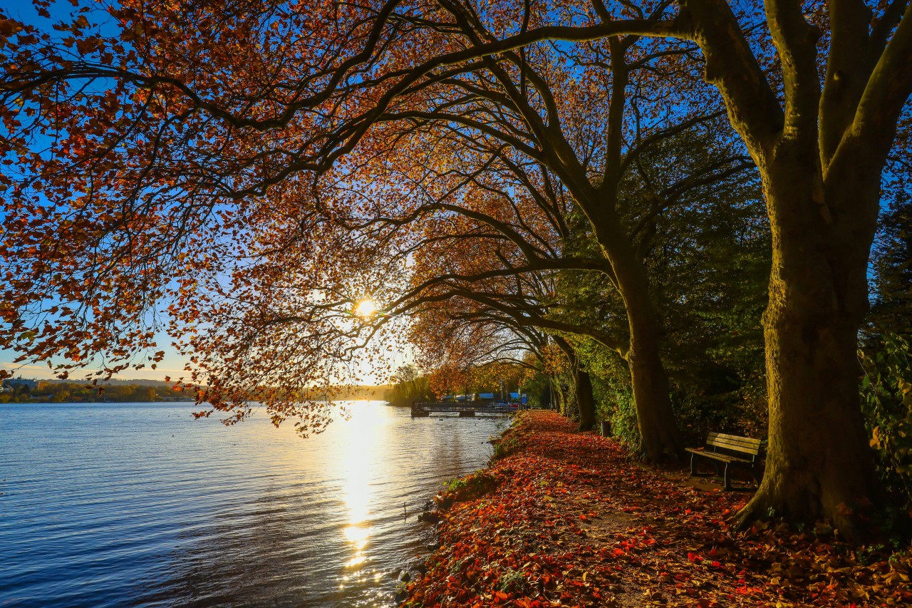 Ist der goldene Herbst vorbei? (Symbolbild) 