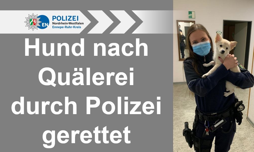 Eine Polizistin nahm den Hund vorerst bei sich auf. 