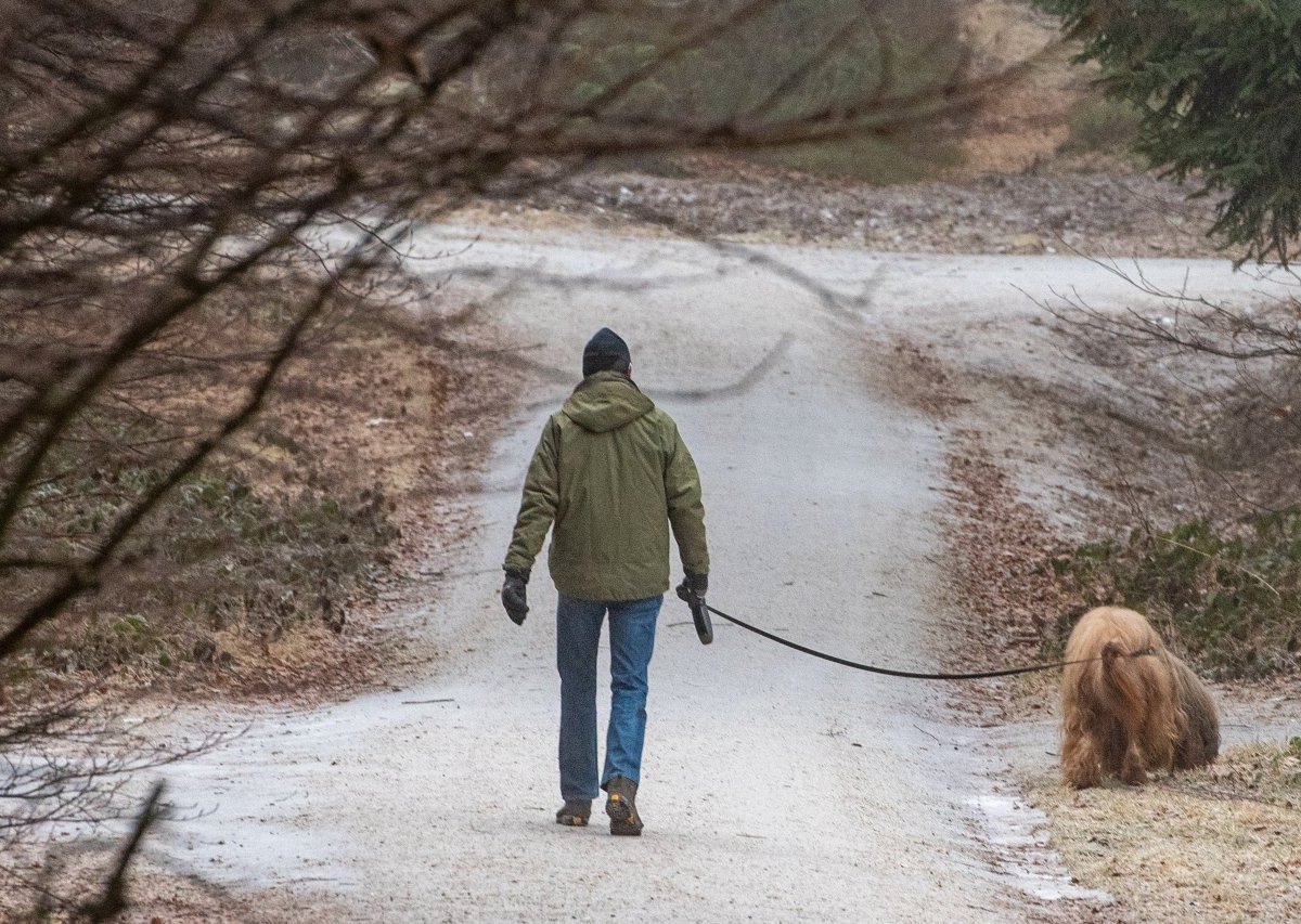 Hund_Bochum.jpg