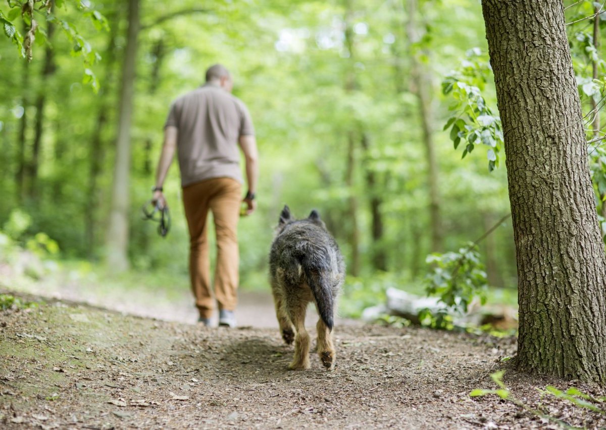 Hund Gassi NRW.jpg