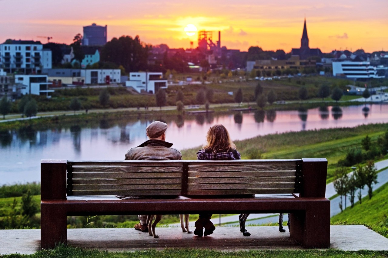 Mit dem Hund in Dortmund am Phoenixsee unterwegs? Dann solltest du DAS nicht vergessen! (Symbolbild)