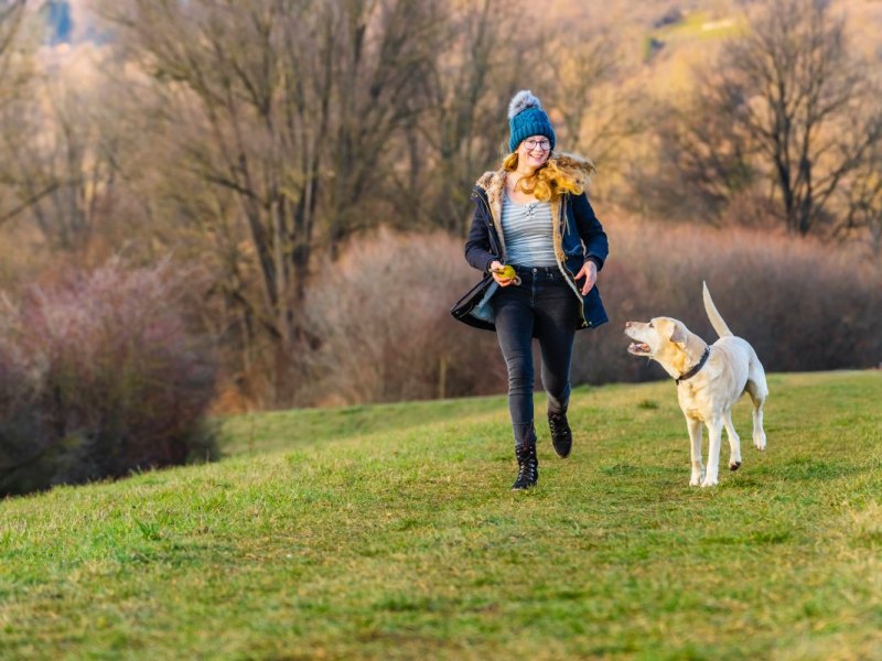 Hund in NRW.jpg