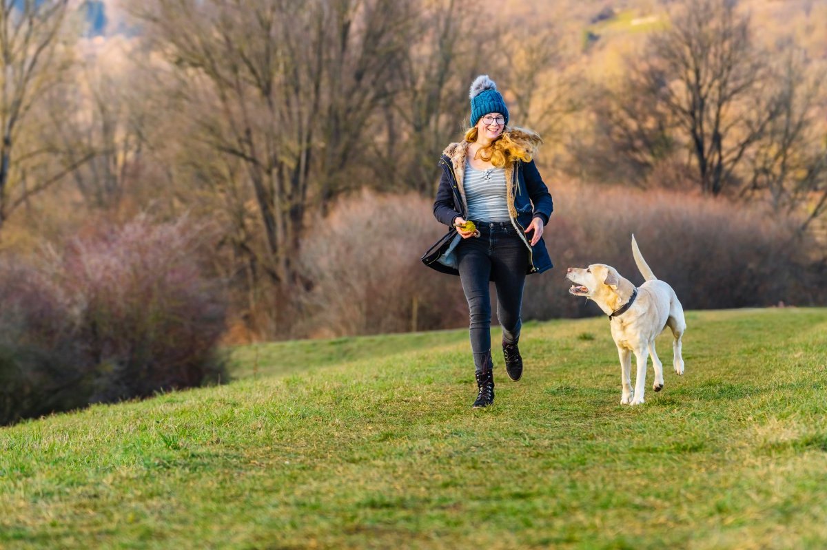 Hund in NRW.jpg