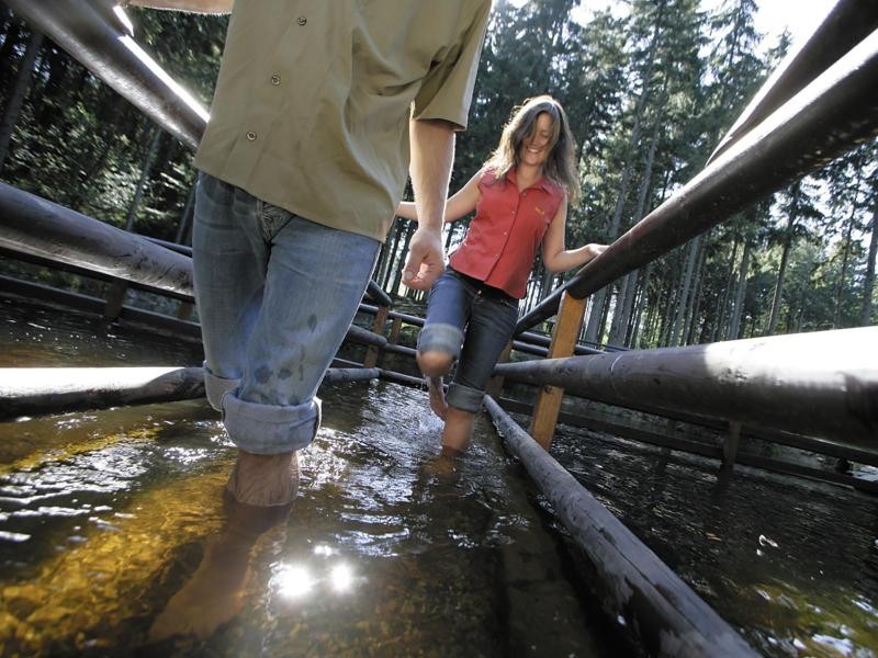 Im Erholungswald Ortelsbruch in Rheinland-Pfalz gibt es den Nixenweiher mit Wassertretbecken.