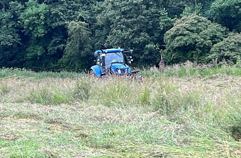 Leichenfund auf einem Feld in Essen. 