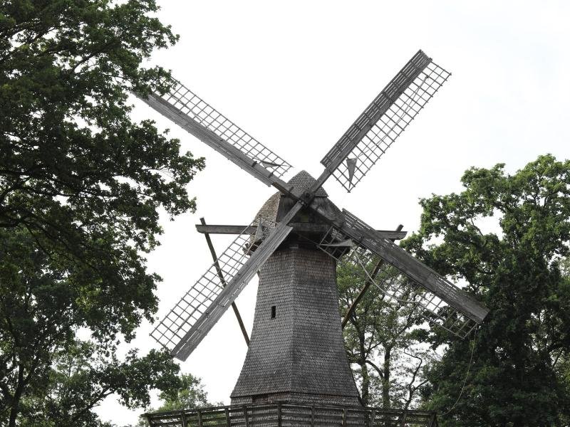 Letzte ihrer Art in Europa: Die Hüvener Mühle ist eine kombinierte Wind- und Wassermühle.