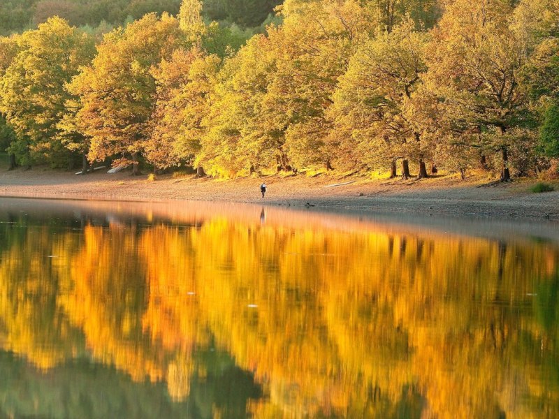 Lingese-Talsperre; Bergisches Land ------------------------------------------------ [.jpg