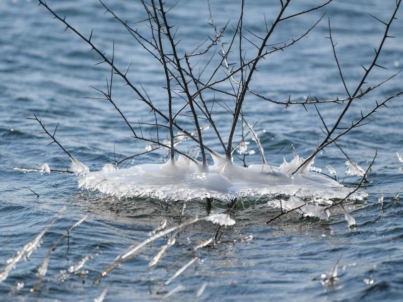 Mit einer "Vier-Teiche-Tour" oder der Märchenwaldwanderung empfiehlt sich das Lausitzer Seenland auch für Winterurlauber.