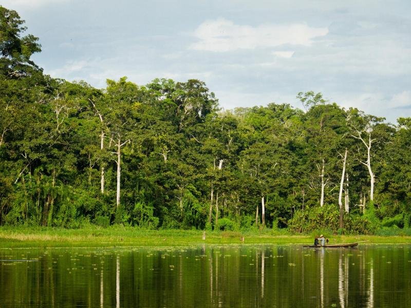 Naturreservat Pacaya-Samiria