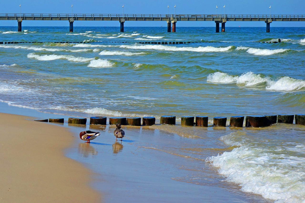 Urlaub an der Ostsee: Am Wochenende kam es zum absoluten Chaos (Symbolfoto).