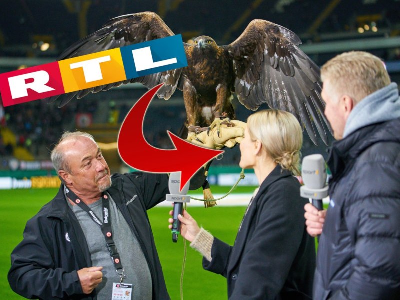 RTL papendick.jpg