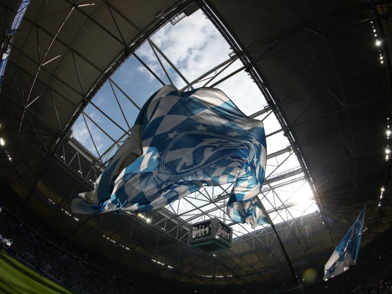 SFCV-Schalke.jpg