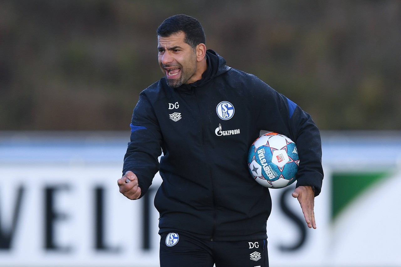 FC Schalke 04: Dimitrios Grammozis steht bei den Fans unter besonderer Beobachtung. 