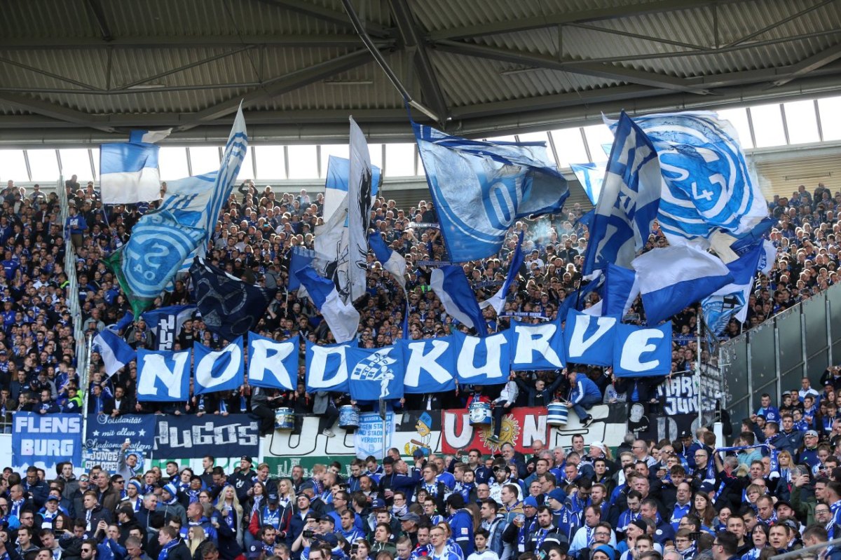 Schalke 04 Fans