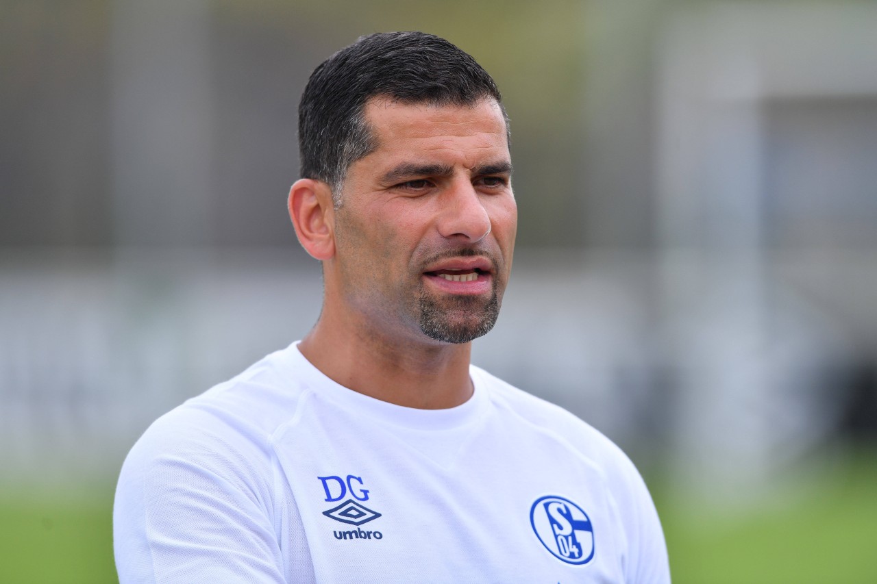 FC Schalke: Dimitrios Grammozis gesteht Fehleinschätzung.