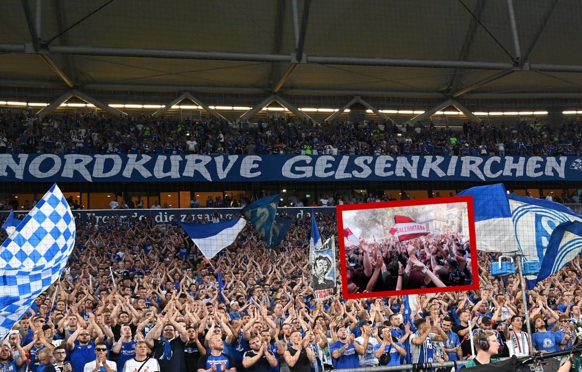 Schalke Salerno Fans Jubel.jpg