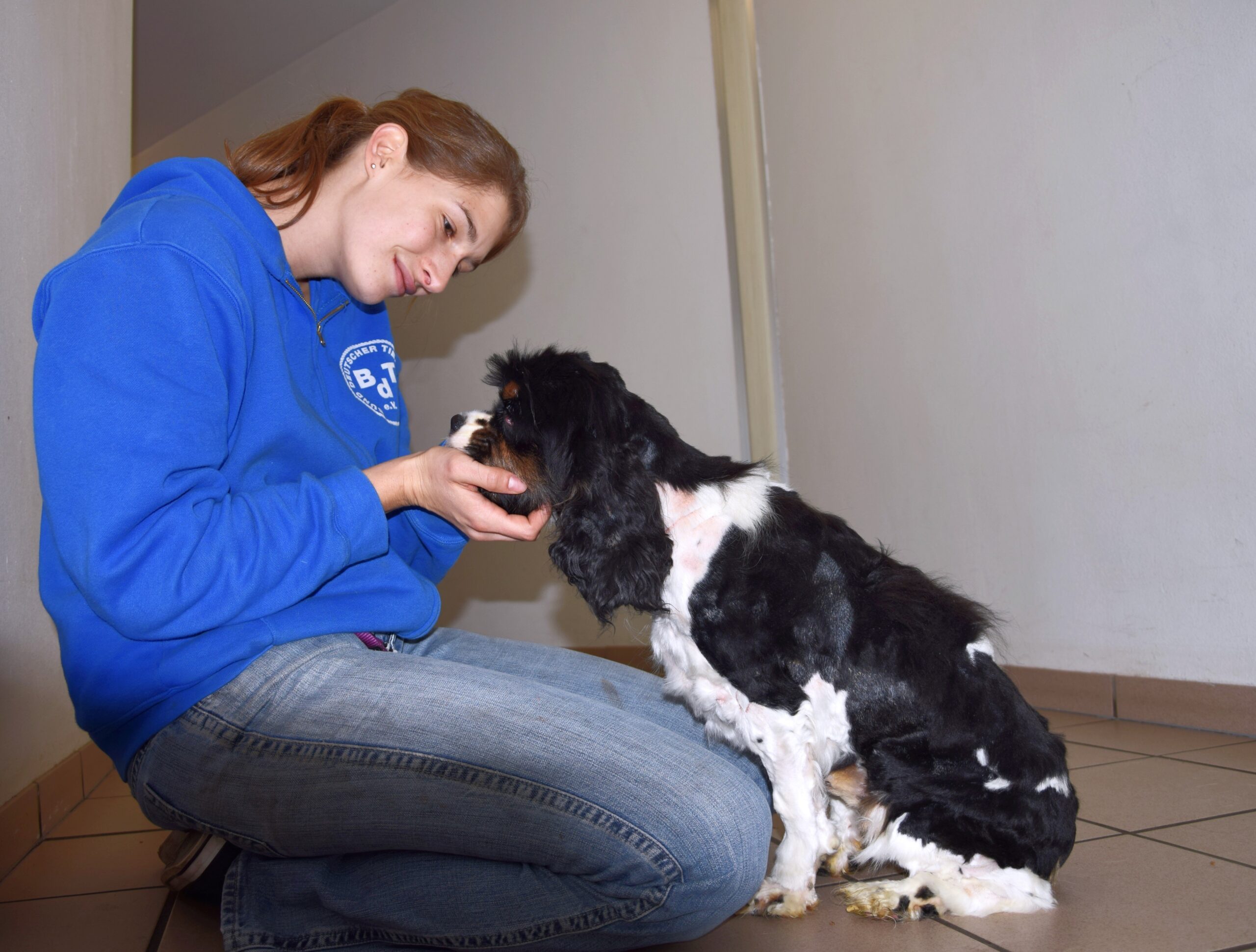 Foto: Tierherberge Kamp-Lintfort & Gnadenhof Weeze, Bund deutscher Tierfreunde e.V.