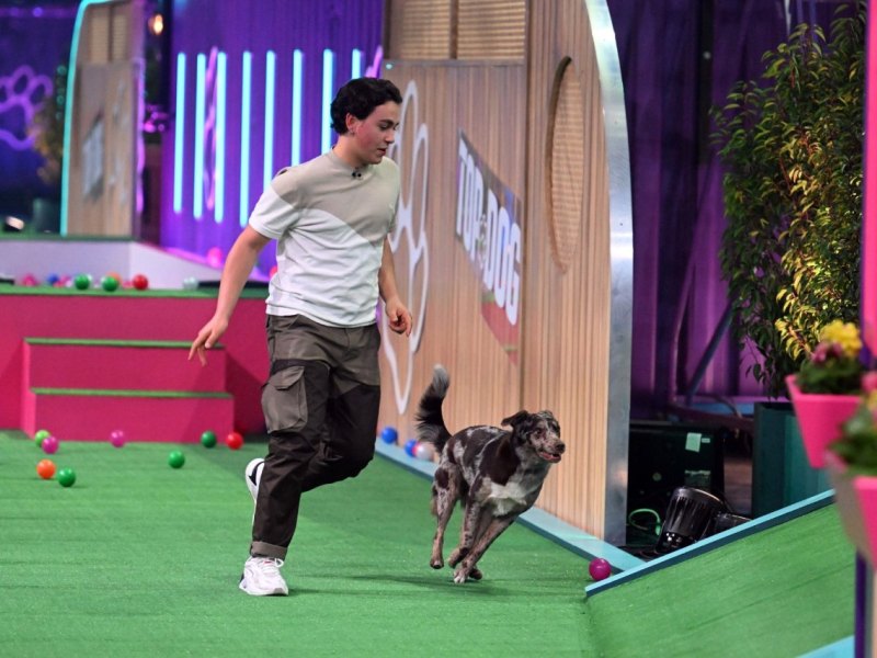 Top-Dog-Germany-Dario-Cleo.jpg