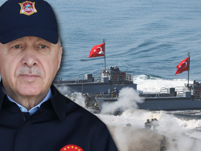 TürkeiErdogan.png