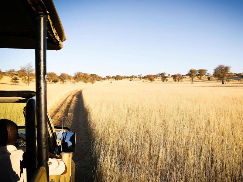 Unterwegs in der Kalahari: Auch gegen das Coronavirus geimpfte Namibia-Reisende müssen bei der Einreise einen negativen PCR-Test vorlegen können.