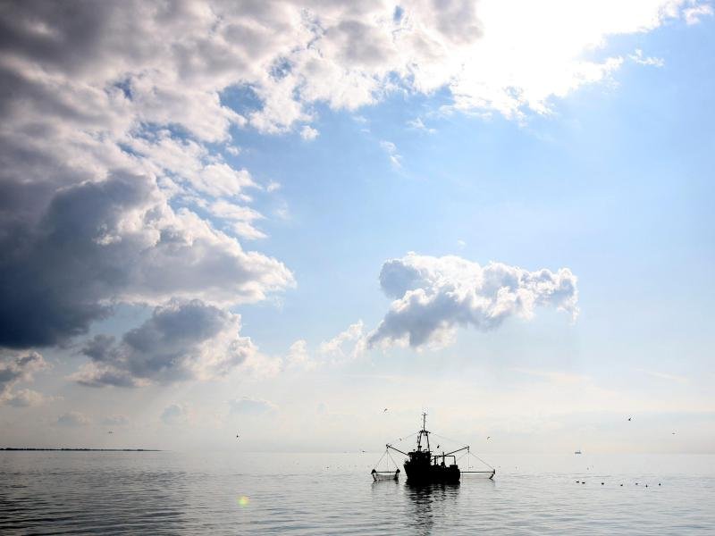 Von Büsum aus fahren die Krabbenfischer auf die Nordsee.