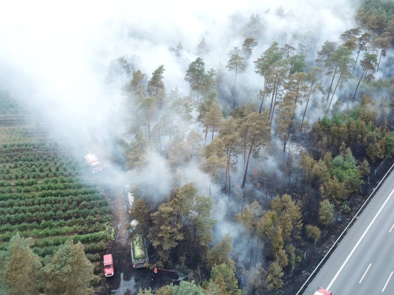 Waldbrand.jpg