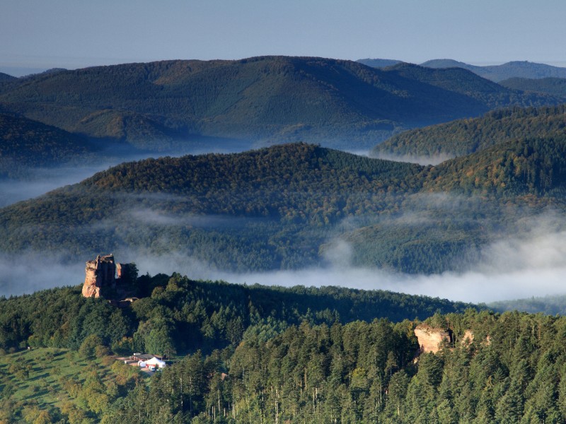 Wälder, Wiesen, Weltenbummler: Wandern im Naturpark Nordvogesen