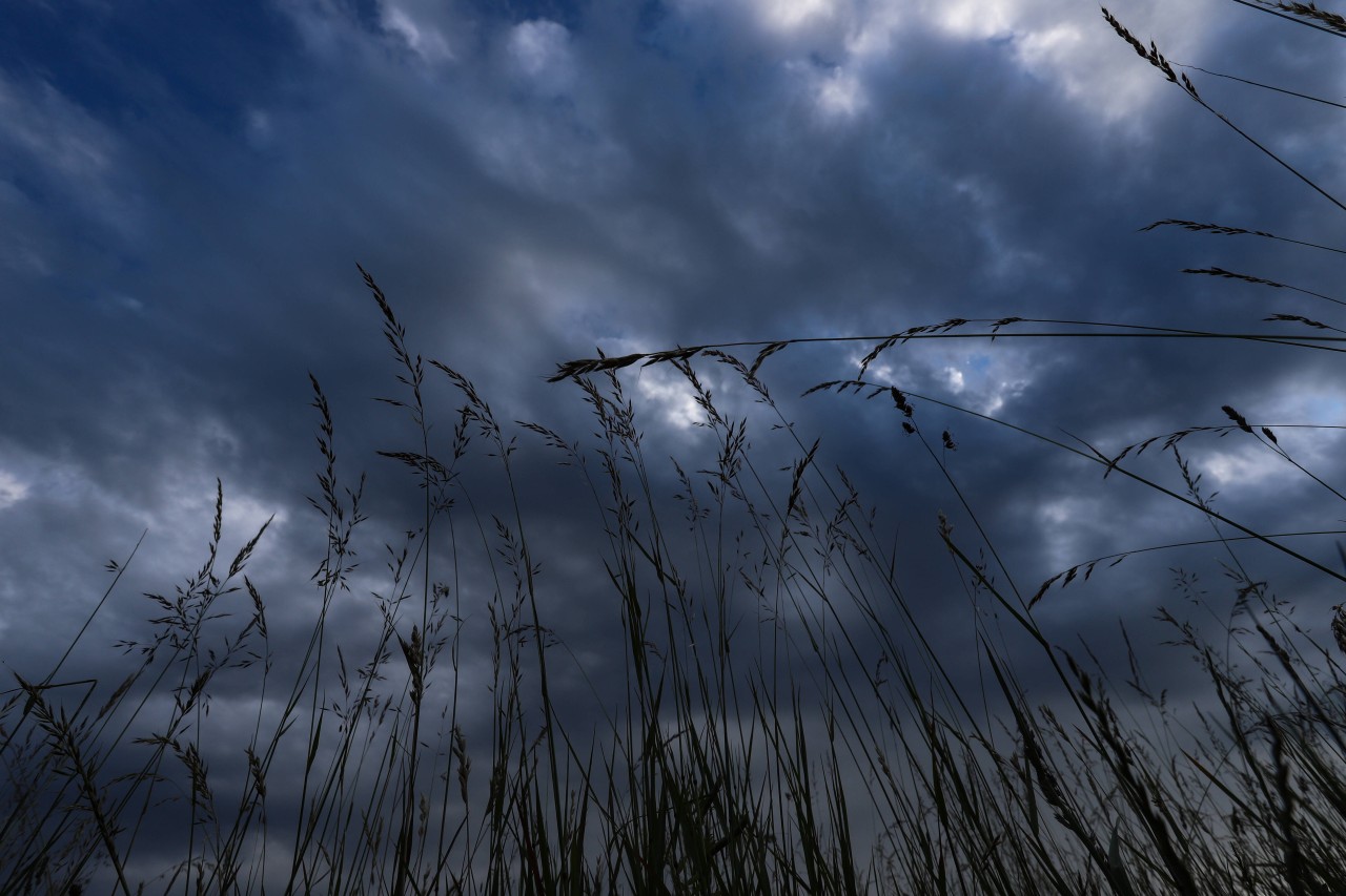 Das Wetter in NRW zeigt sich weiterhin von seiner nassen Seite. (Symbolbild)