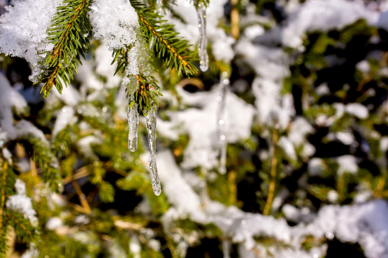 Wetter in NRW: Bald fällt der erste Schnee des Winters. (Archivbild)