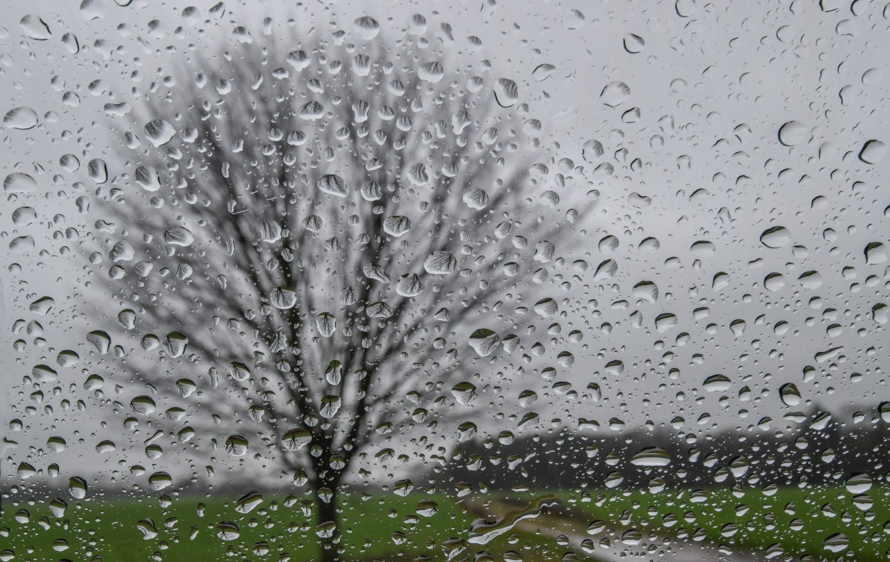 Das Wetter in NRW wird zum Wochenstart ungemütlich. 