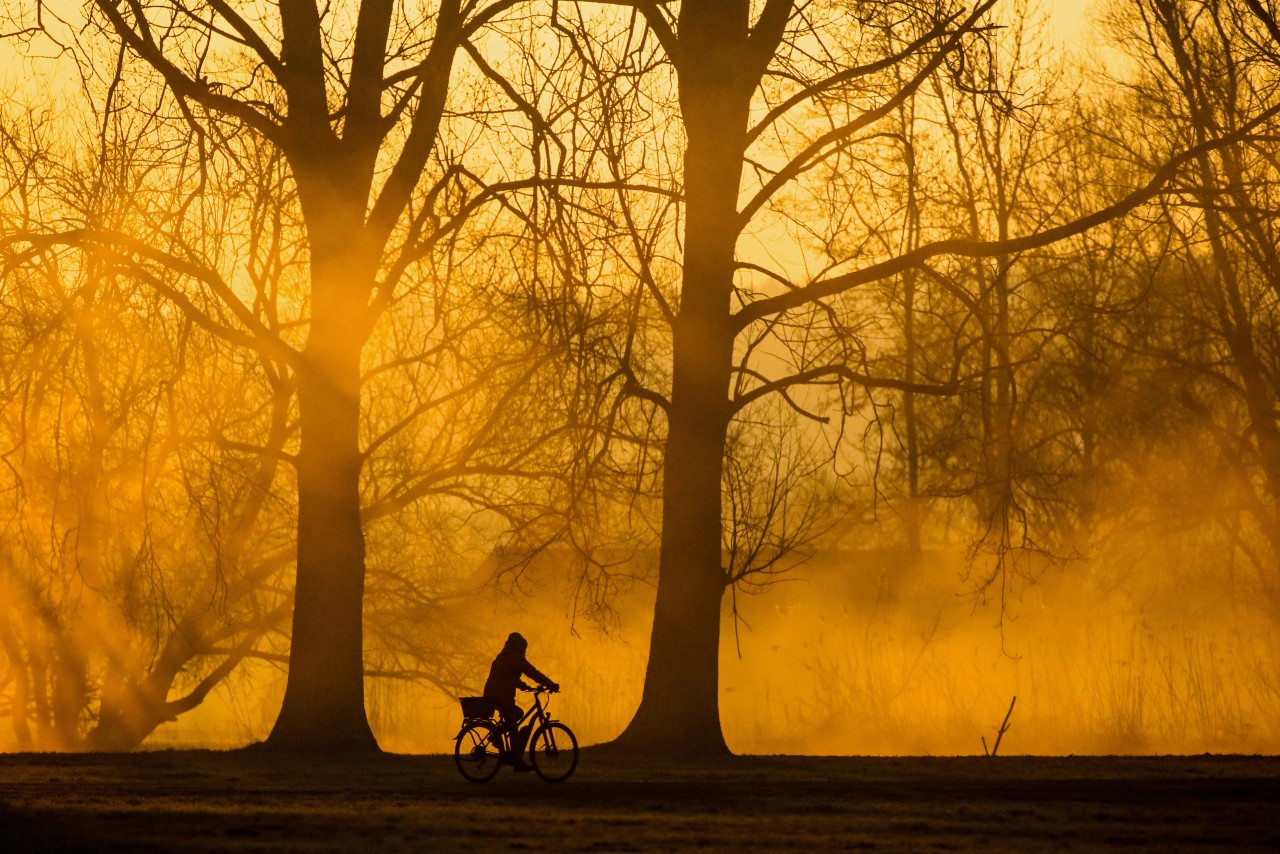 Wetter in NRW: Der Nebel am Morgen wird derzeit durch sommerliche Temperaturen abgelöst. (Symbolbild)