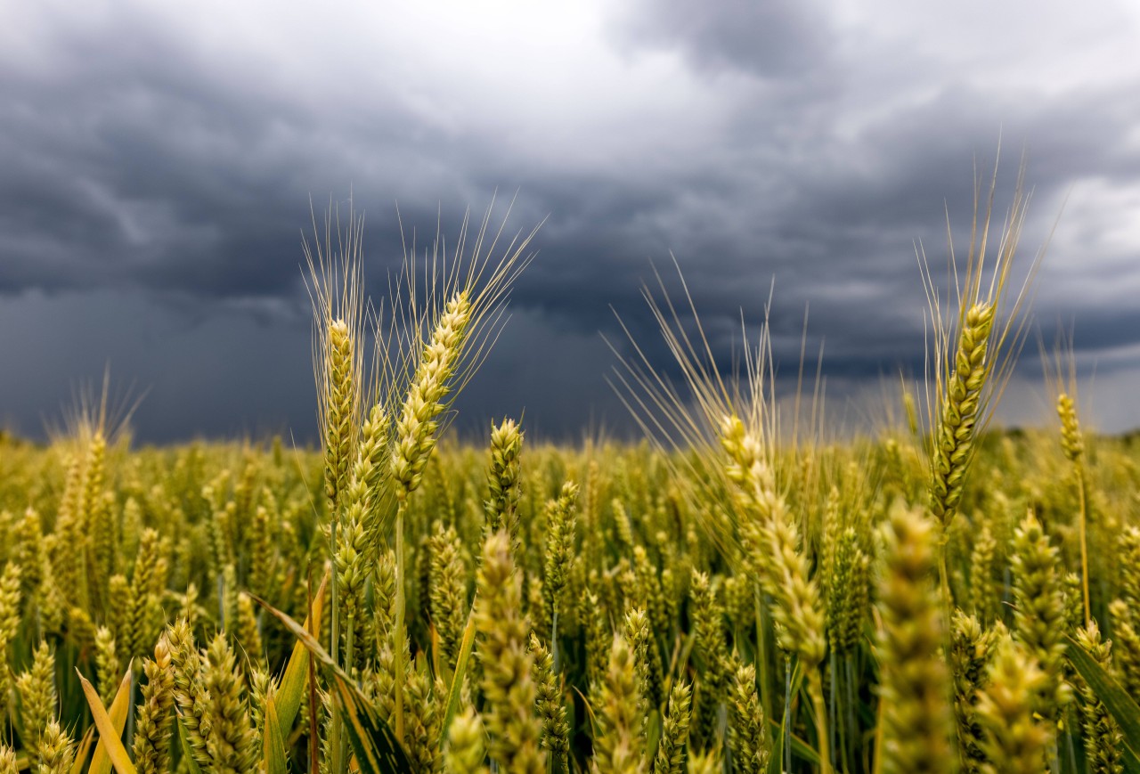 Wetter in NRW: Erneut braut sich etwas zusammen. (Symbolbild)