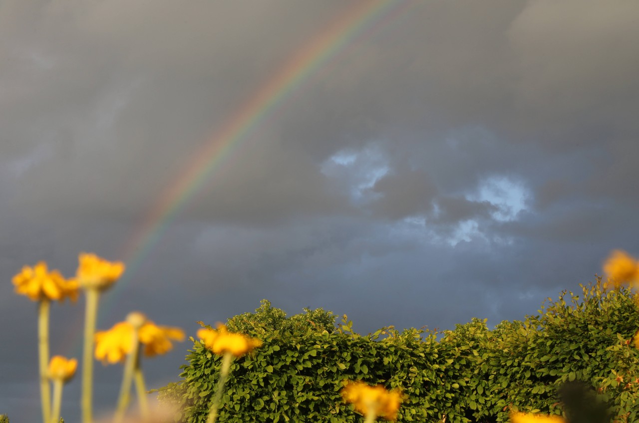 Das Wetter in NRW bleibt nach dem Pfingstwochenende wechselhaft. (Symbolbild)