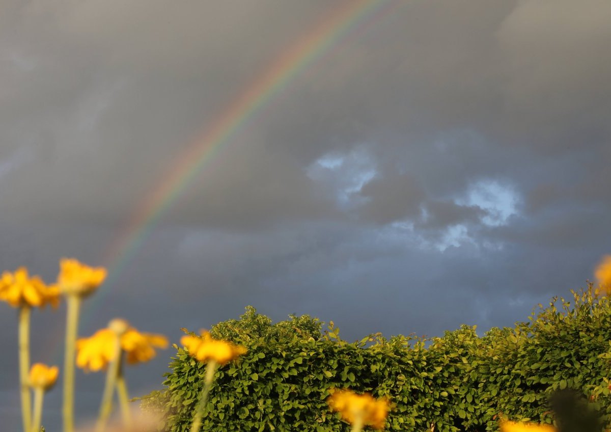 Wetter-NRW