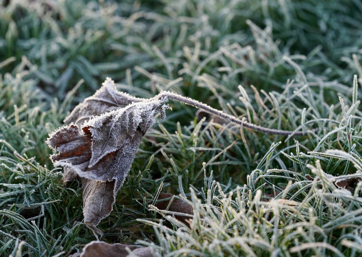 Wetter-NRW-Frost.jpg