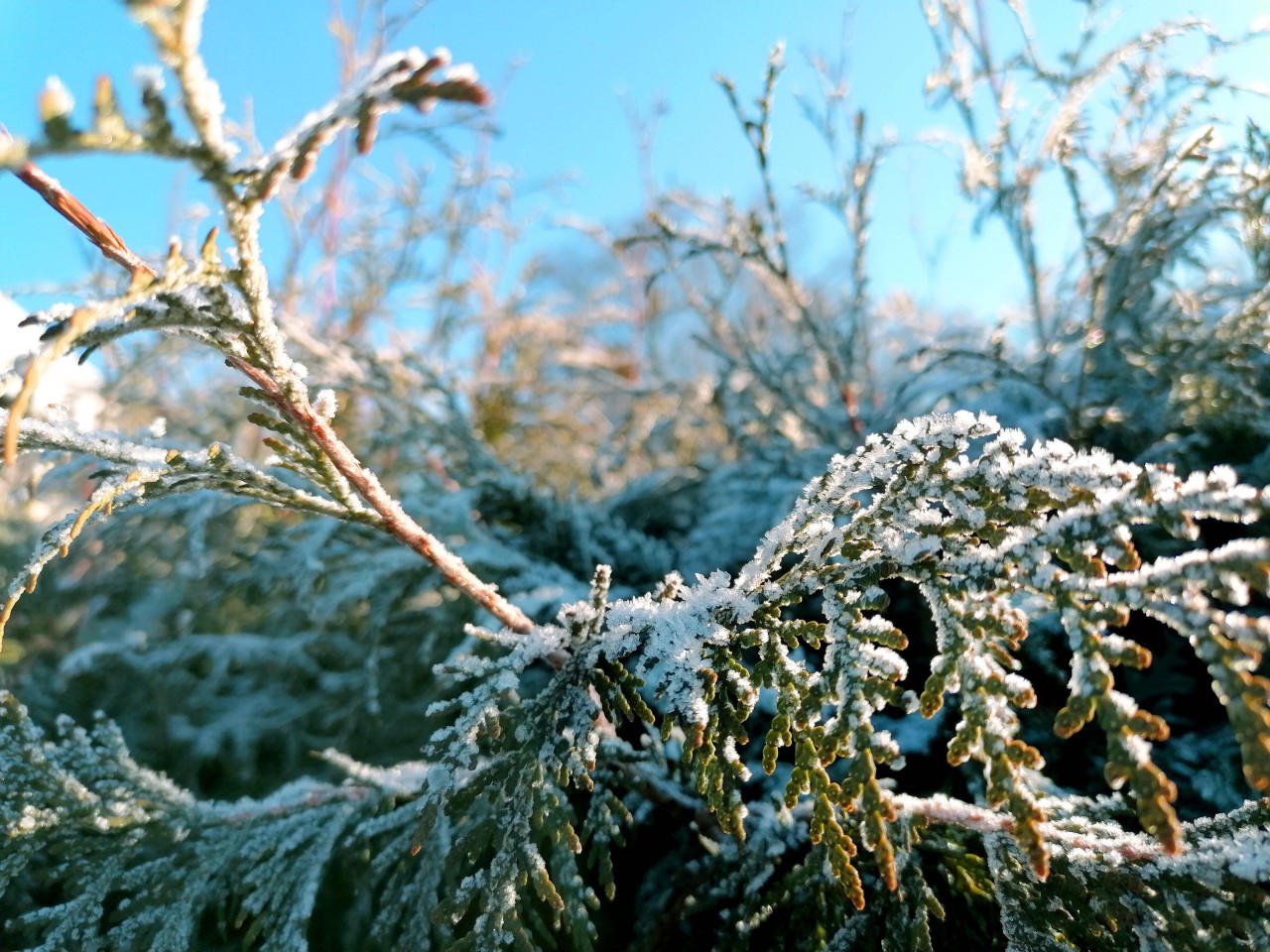 Wetter-Umschwung in NRW: Der Winter kehrt zurück! (Symbolbild)