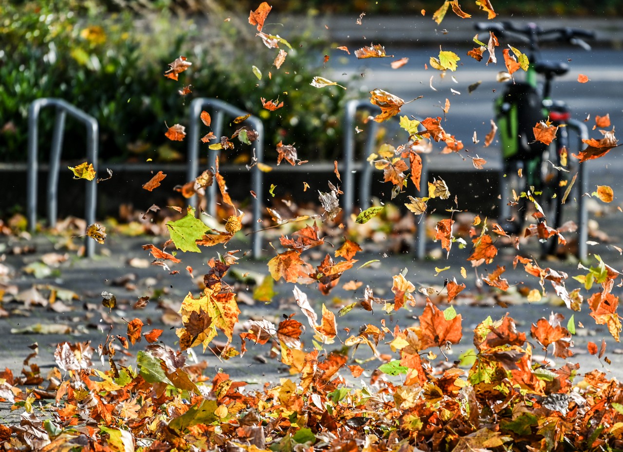 SO wird das Wetter in NRW am Wochenende. (Symbolbild)