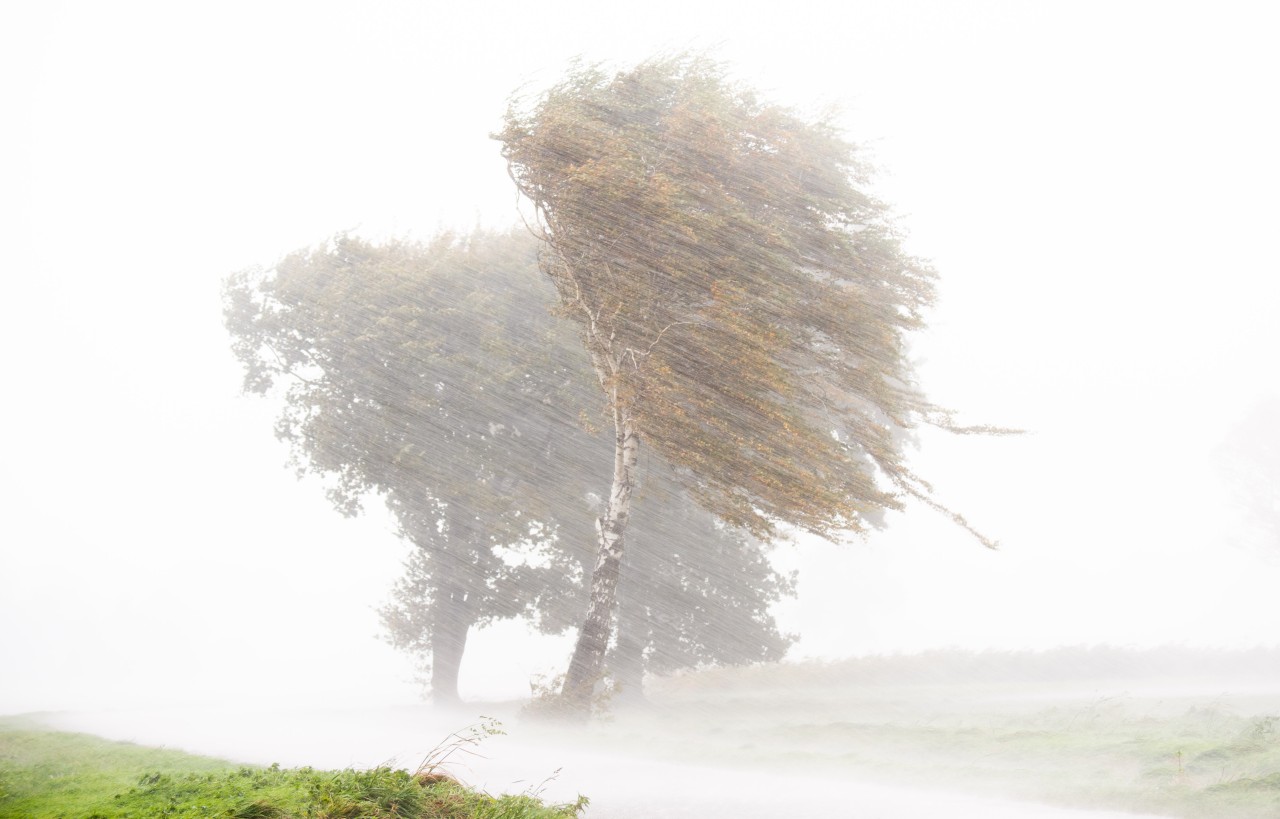 Wetter in NRW: Sturm „Ignatz“ hat unter der Woche gewaltig gewütet. 