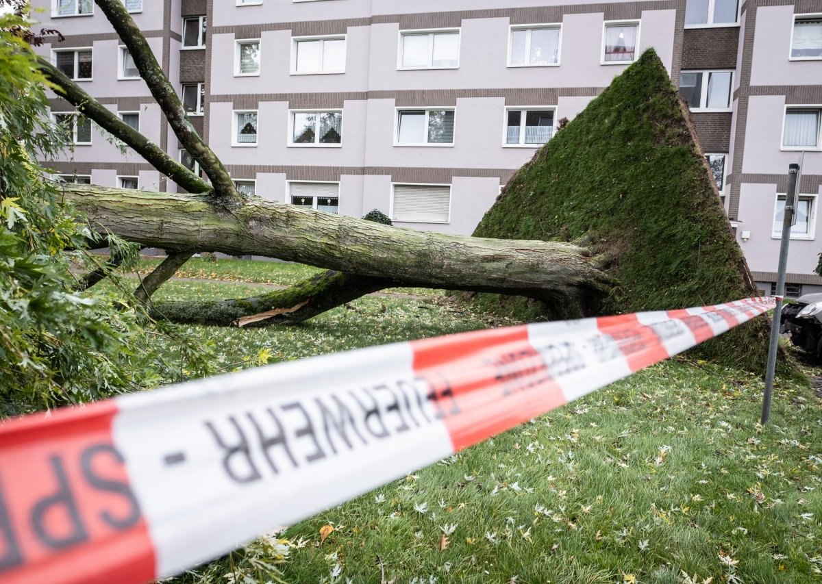 Wetter in NRW.jpg