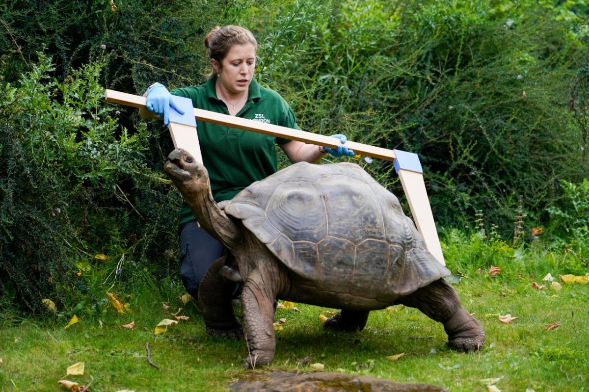 Zoo Dortmund Tag des Tierpflegers.jpg