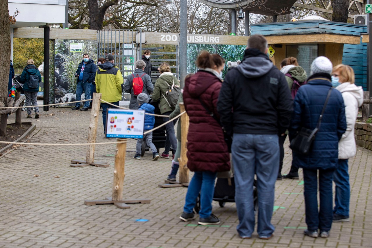 Der Zoo Duisburg hat einen neuen Service am Start. (Symbolfoto)