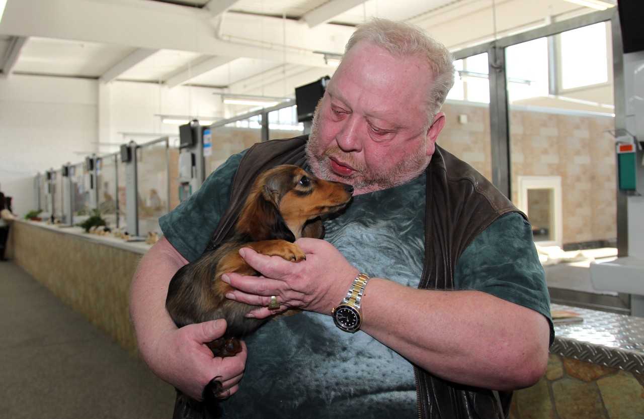 Norbert Zajac verkauft bei Zoo Zajac in Duisburg Hundewelpen. (Archivbild)