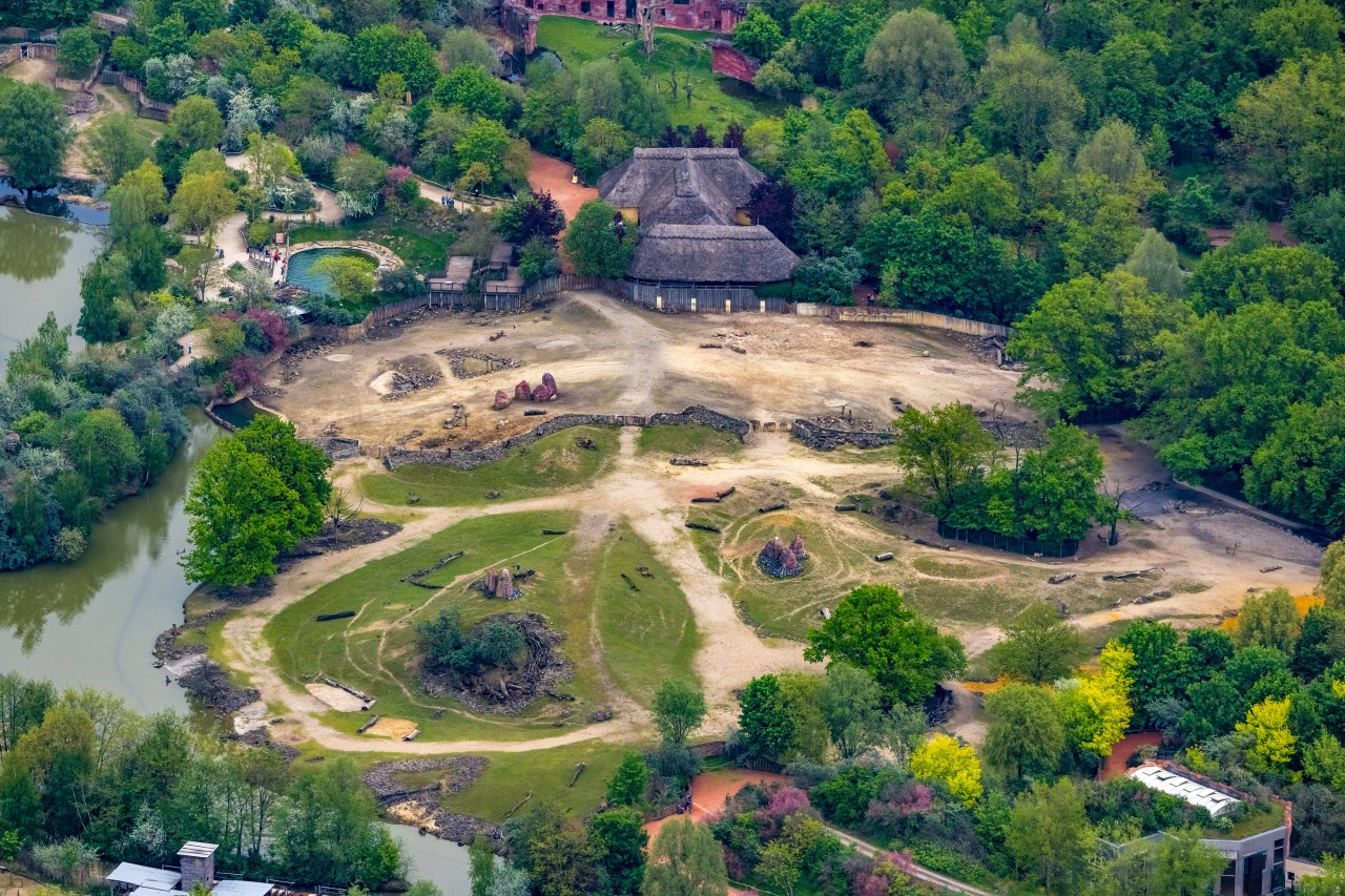 Zoo mit Hund in NRW: in der Zoom Erlebniswelt in Gelsenkirchen gibt es einiges zu entdecken. (Symbolbild)