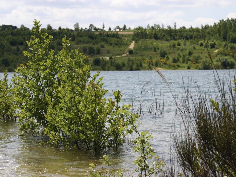 blausteinsee-eschweiler.jpg