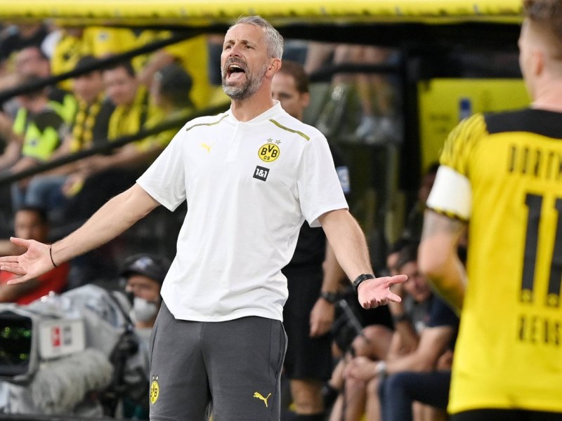 borussia-dortmund-rose