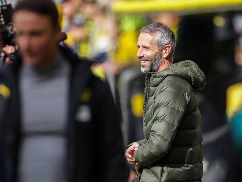 borussia-dortmund-rose.jpg